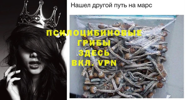 таблы Рославль