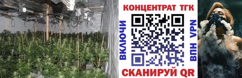 Купить  Петушки  Дистиллят ТГК жижа 